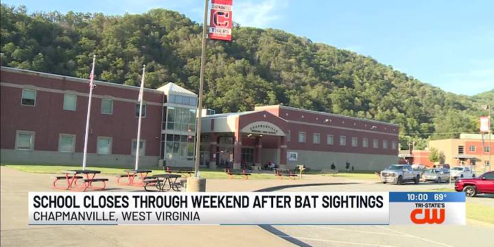 School closes through weekend after bat sightings