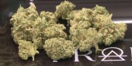 Looking ahead at a vote that could prohibit marijuana businesses in Niles Township
