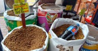 Tasa cero en alimentos para mascotas, propone el PAN