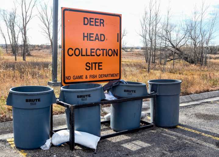 Game and Fish encourages North Dakota hunters to have deer tested for CWD