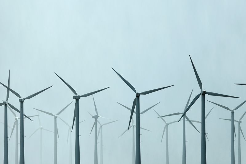 Analysis-‘Every electron counts’: Why renewables stocks are back in play