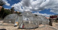 Pollution Pods, una ‘asfixiante’ reflexión sobre el deterioro ambiental