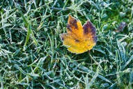 Chilly, overcast Thursday sets stage for Mass. weekend cold snap