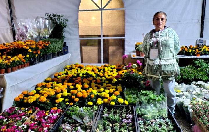 Llega flor de cempasúchil para la ofrenda del Día de Muertos al Paseo de la Reforma