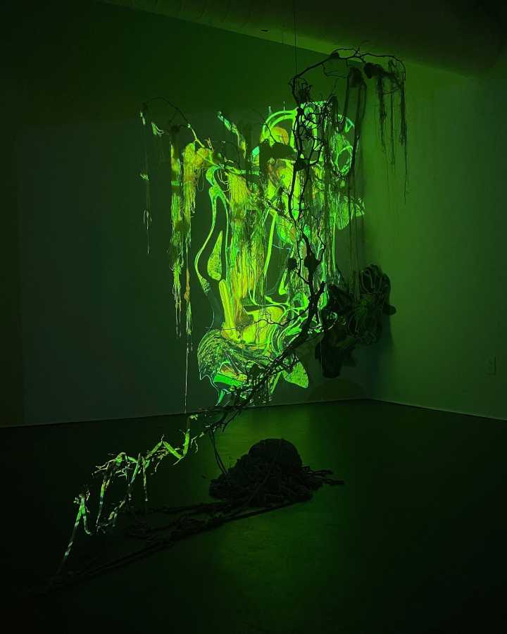 Where the Willows Weep and Orchids Dream show by Bianca Artemida Nam 