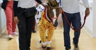 Therapy horse spreads cheer at children's hospital