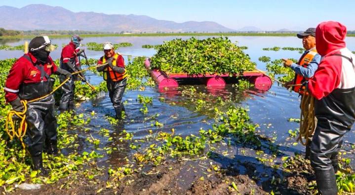 ¡A limpiar la Endhó!
