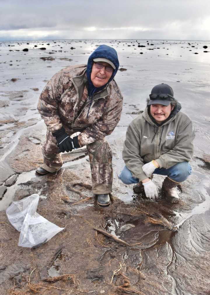 Archaeological site in Alaska that casts light on early Yup’ik life ravaged by ex