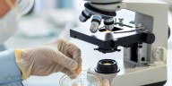 Adorni anunció la reestructuración de un organismo clave de la Secretaría de Innovación, Ciencia y Tecnología