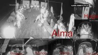 Israel intercepta flotilla humanitaria que va rumbo a Gaza, dicen activistas