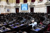 Elecciones legislativas: cuántas bancas pone en juego cada partido y cuáles son los diputados que apuestan a renovar