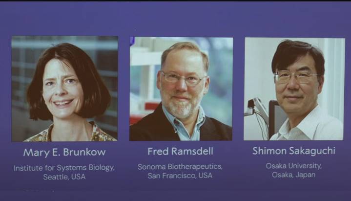 Nobel Medicine Prize 2025: Brunkow, Ramsdell, Sakaguchi honored for immune research