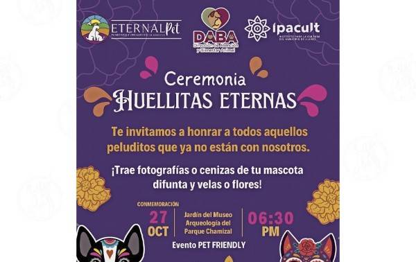 Con eventos especiales, recordarán a las mascotas fallecidas