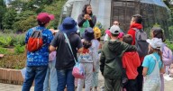 Del 7 al 9 de octubre regresan las Vacaciones Científicas en semana de receso escolar al Jardín Botánico de Bogotá