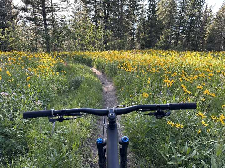 Public land donation to provide access to new trail system near Victor