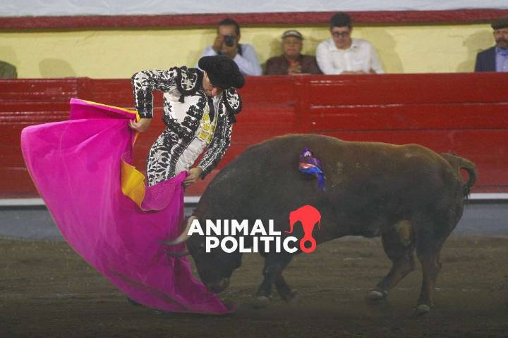 Suprema Corte rechaza atraer asunto para fijar criterio nacional sobre corridas de toros