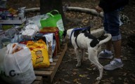 Cero impuestos a alimentos y medicamentos para mascotas y deducir pago a veterinarios, propone Kenia López Rabadán en apoyo a la economía familiar