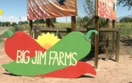 Albuquerque farm offers free produce while supplies last amid indefinite hold on food stamps