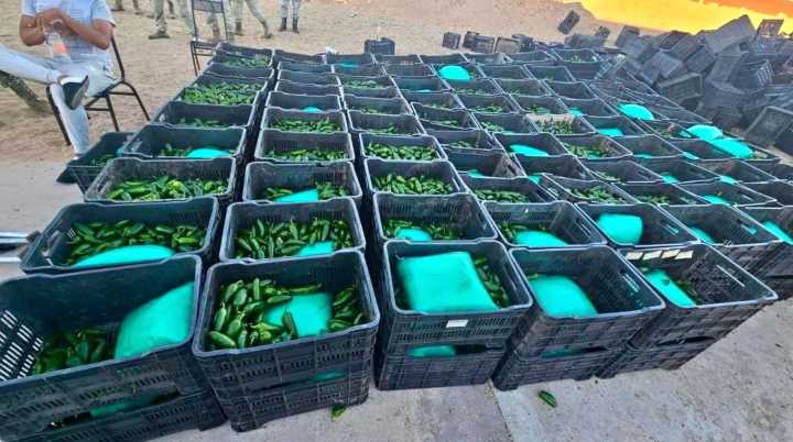 SEDENA decomisa una tonelada de droga entre cajas de chile que iban a EE....