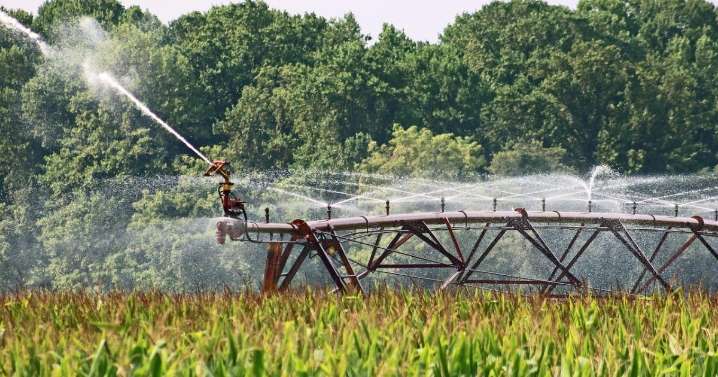 Cumbre para ahuyentar a los fondos buitre del campo: «Están desplazando a los verdaderos agricultores»