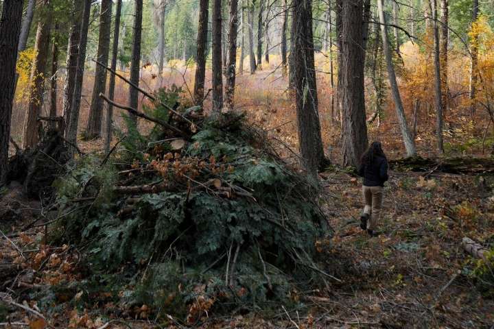 Hand-Pile Burning Begins to Prevent Wildfires Near Plain