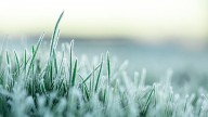Frost Advisory issued for Kentuckiana, some counties under Freeze Watch
