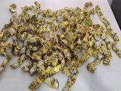 Telangana Police seizes 1.6 kg of ganja