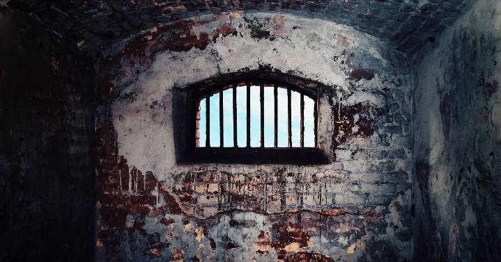 Opinion The human cost of India’s broken prison system