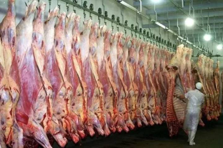 EEUU analiza cuadruplicar la cuota de importación de carne argentina