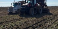 Sugar beet harvest in Magic Valley