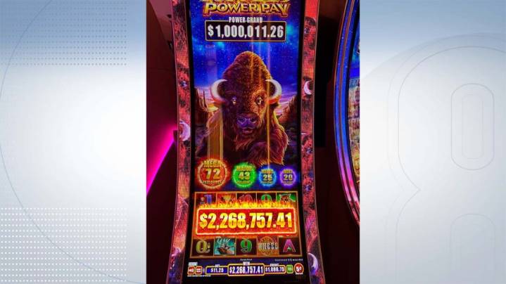 Buffalo! Player hits $2 million jackpot on $11.25 bet