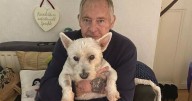 Dog to be put down after brutal attack outside Tesco