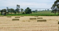 Discover Karingle: Tamworth's prime farming property