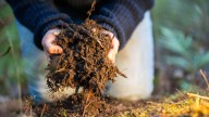 Figure Out Your Garden Soil's Type By Using Just Your Hand