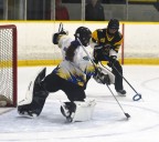 Anderson leads charge for high-scoring U12A Stingers