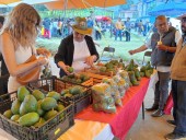 En la tercera feria del aguacate en el San Juan Tepecoculco, Atlautla, escasos productores y clientela
