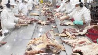 Chile vuelve a comprar carne de la Patagonia libre de aftosa