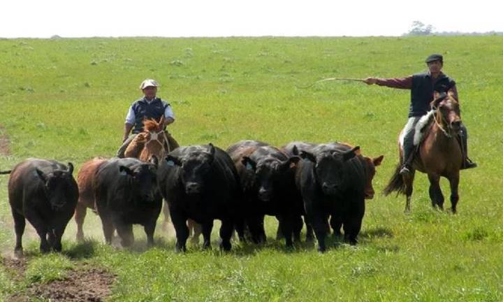 Extienden el decreto que permite compatibilizar el trabajo rural con los planes sociales