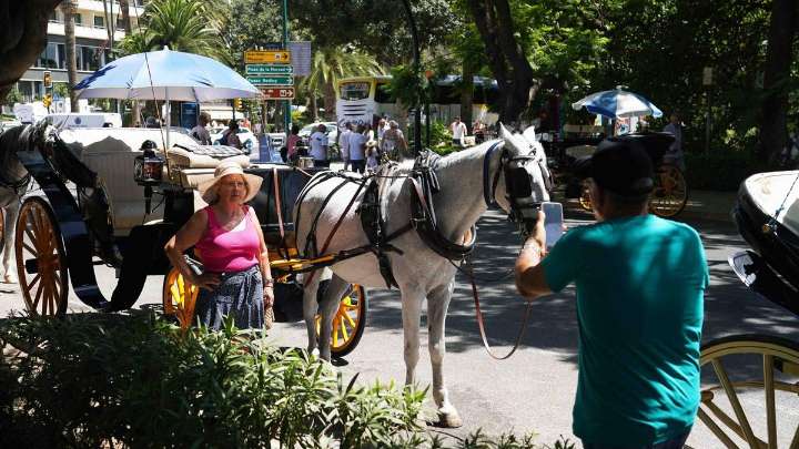 Adiós a los coches de caballos en Málaga: entra en vigor la extinción de licencias