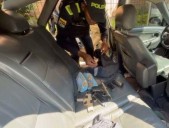 Pistas del atentado en Bogotá contra activistas venezolanos: ubicaron el carro y armas de los presuntos atacantes