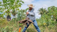 28 congresistas radican proyecto de ley para eliminar las APPA, norma de uso del suelo que según ellos golpea inversión, gobernabilidad y desarrollo