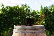 South American wine is booming - these bottles are the best