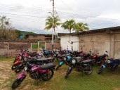Retienen 46 motocicletas durante operativo de tránsito en Tucupita