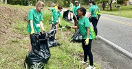 Fall is tree planting + litter pickup season in Birmingham. How to get involved.