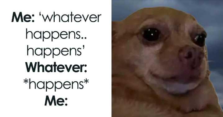 82 Hilariously Relatable Memes To Help You Cope With Anxiety