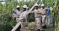 CFE restablece suministro a 98.72% de afectados en Puebla, Hidalgo, Veracruz, San Luis Potosí y Querétaro