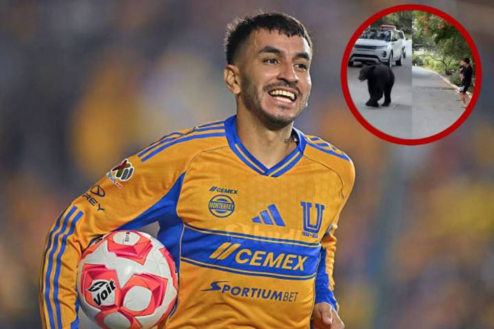 Ángel Correa se enfrenta a un oso negro en Monterrey durante paseo familiar