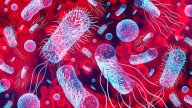 Virus del trópico llegó a Nueva York: se reportó contagio luego de 5 años sin infecciones