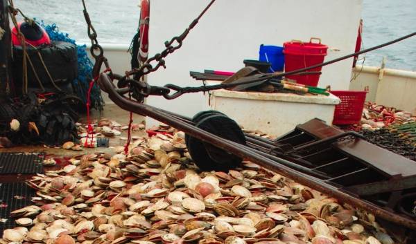 New Bedford Mayor pushes for scallop fishing reform to save jobs, keep boats afloat