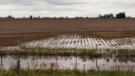 Las inundaciones y su impacto en la educación rural: “Muchos han perdido los seis meses de escuela”